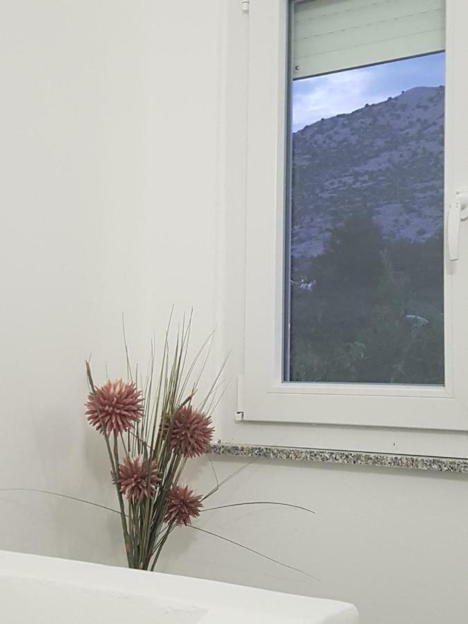 Hotel Vila Velvet Starigrad Paklenica Esterno foto