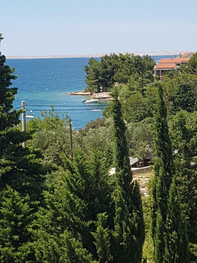 Hotel Vila Velvet Starigrad Paklenica Esterno foto